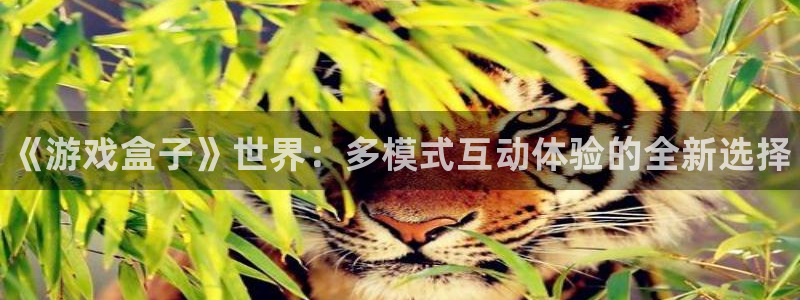 奇亿娱乐注册登录平台：《游戏盒子》世界：多模式互动体验的全新