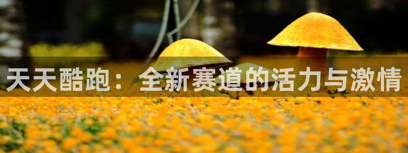 奇亿娱乐网页登录入口下载：天天酷跑：全新赛道的活力与激情