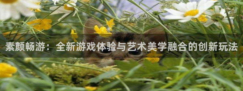 奇亿娱乐游戏：素颜畅游：全新游戏体验与艺术美学融合的创新玩法