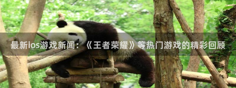 奇亿娱乐平台：最新ios游戏新闻：《王者荣耀》等热门游戏的精